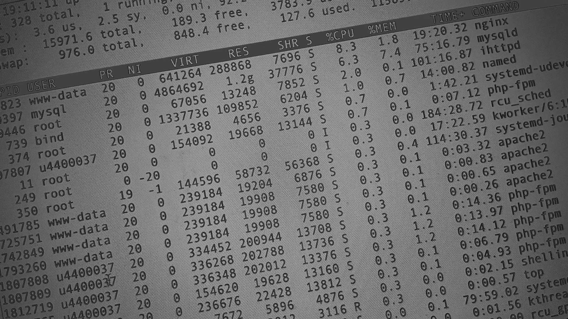 Настройка сервера в Могоче