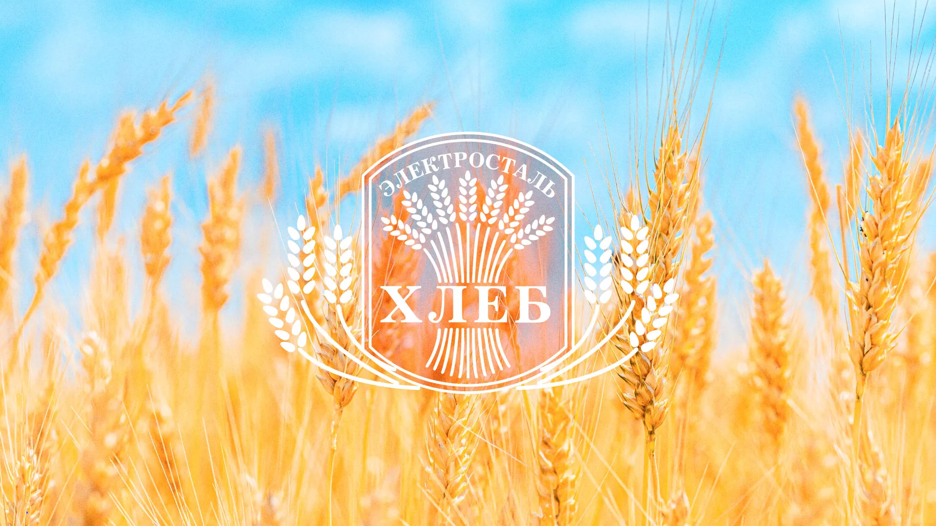 Создание сайта для хлебзавода в Могоче