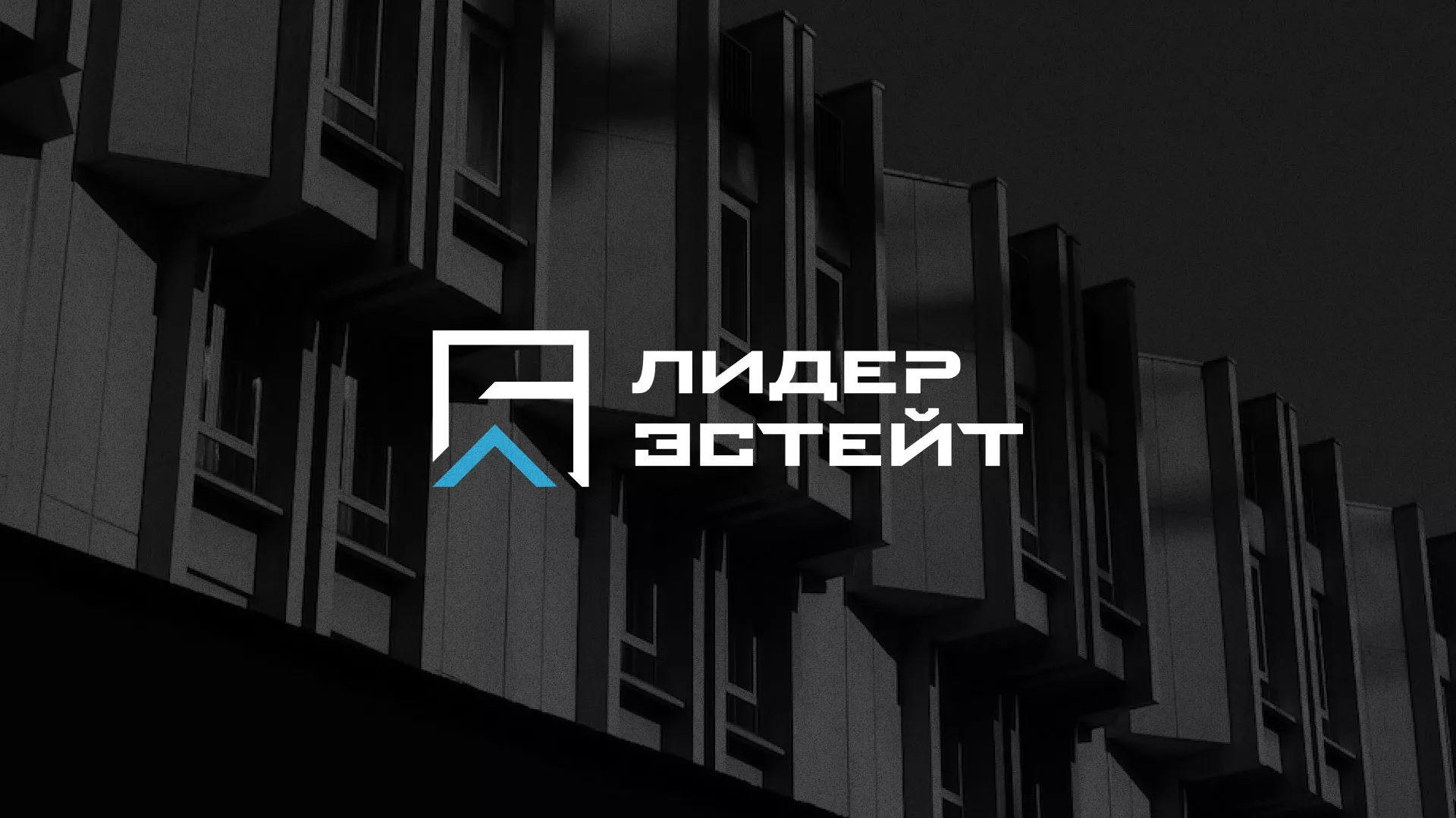 Разработка логотипа агентства недвижимости «Лидер Эстейт» в Могоче